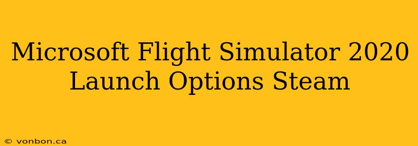 Microsoft Flight Simulator 2020 Launch Options Steam