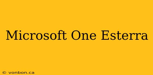 Microsoft One Esterra