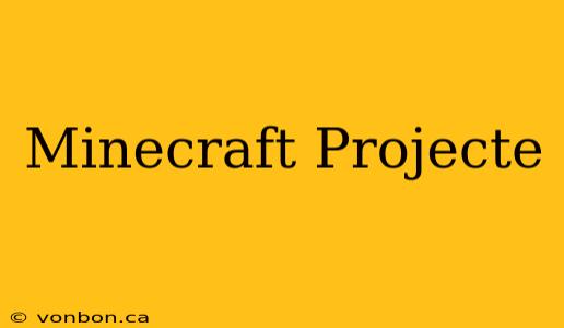 Minecraft Projecte