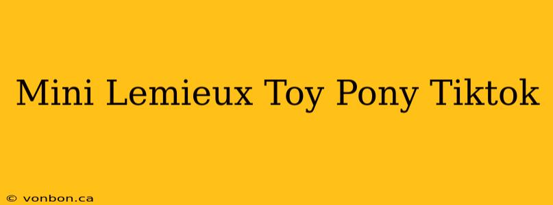 Mini Lemieux Toy Pony Tiktok