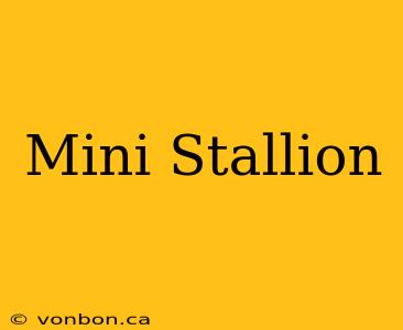 Mini Stallion