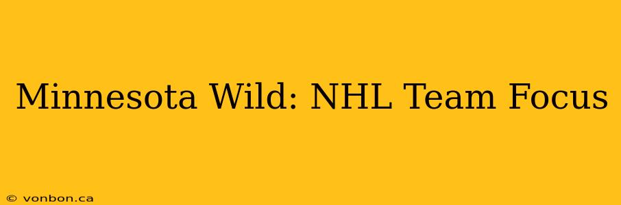 Minnesota Wild: NHL Team Focus