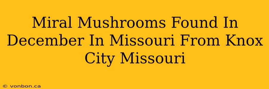 Miral Mushrooms Found In December In Missouri From Knox City Missouri