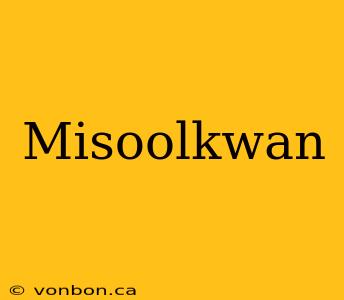 Misoolkwan