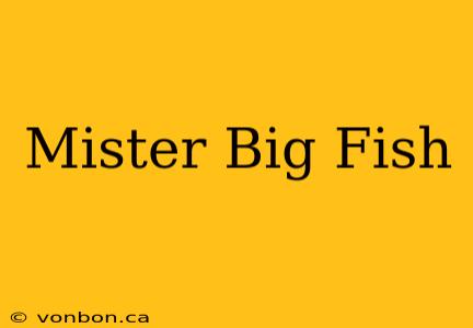 Mister Big Fish