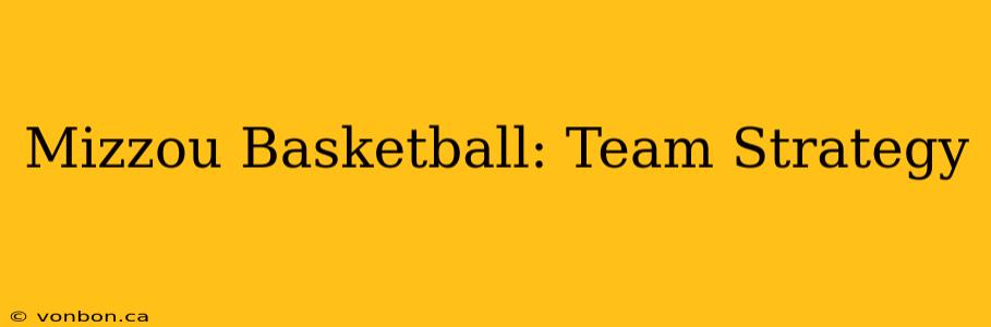 Mizzou Basketball: Team Strategy