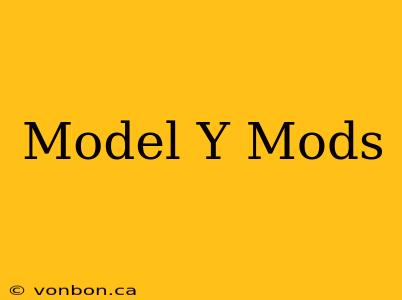 Model Y Mods