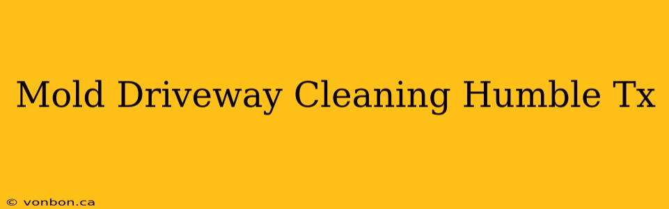 Mold Driveway Cleaning Humble Tx