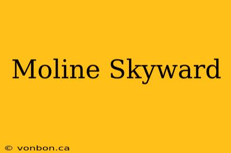 Moline Skyward