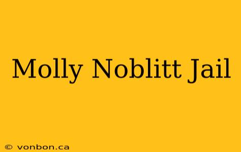 Molly Noblitt Jail