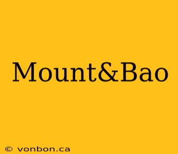 Mount&Bao