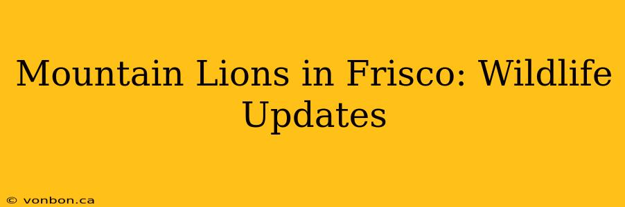 Mountain Lions in Frisco: Wildlife Updates