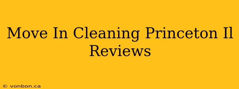 Move In Cleaning Princeton Il Reviews