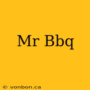 Mr Bbq