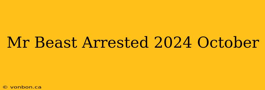 Mr Beast Arrested 2024 October