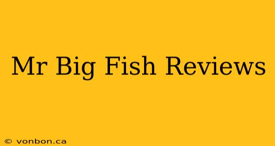 Mr Big Fish Reviews