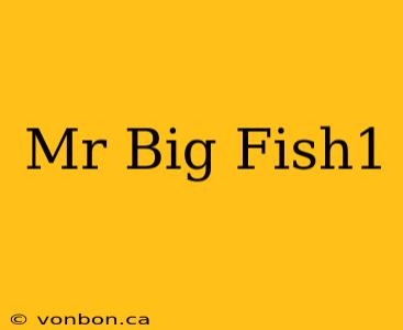 Mr Big Fish1