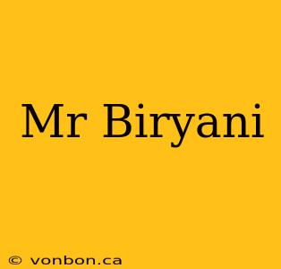 Mr Biryani