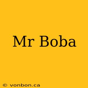 Mr Boba