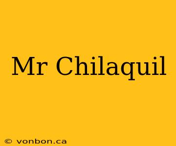 Mr Chilaquil