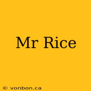 Mr Rice