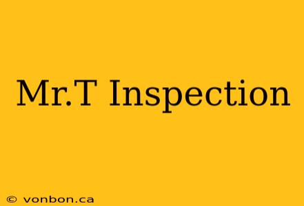 Mr.T Inspection