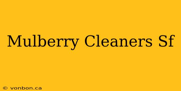 Mulberry Cleaners Sf