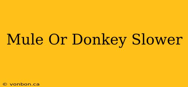 Mule Or Donkey Slower