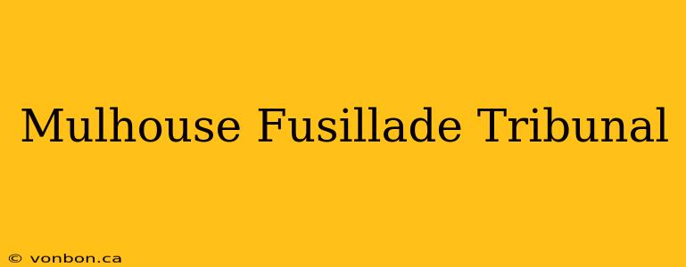 Mulhouse Fusillade Tribunal