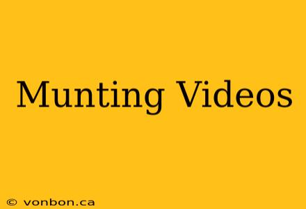 Munting Videos