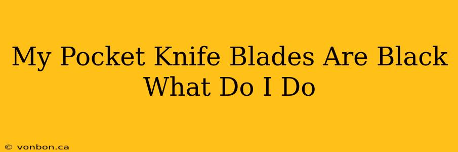 My Pocket Knife Blades Are Black What Do I Do