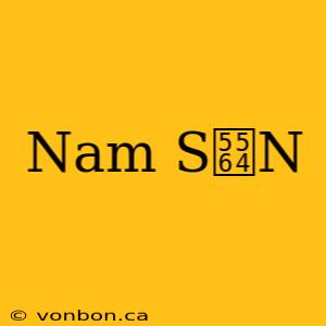 Nam S啤N