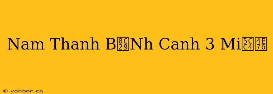 Nam Thanh B谩Nh Canh 3 Mi峄乶