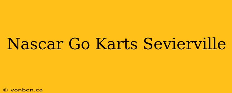 Nascar Go Karts Sevierville