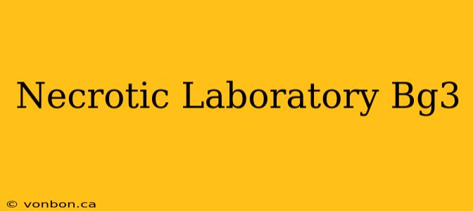 Necrotic Laboratory Bg3