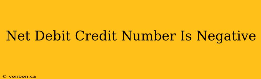 Net Debit Credit Number Is Negative