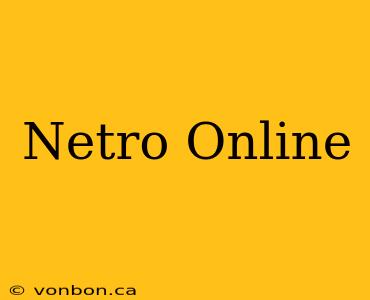 Netro Online