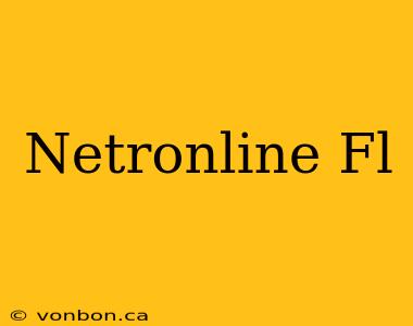 Netronline Fl