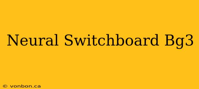 Neural Switchboard Bg3