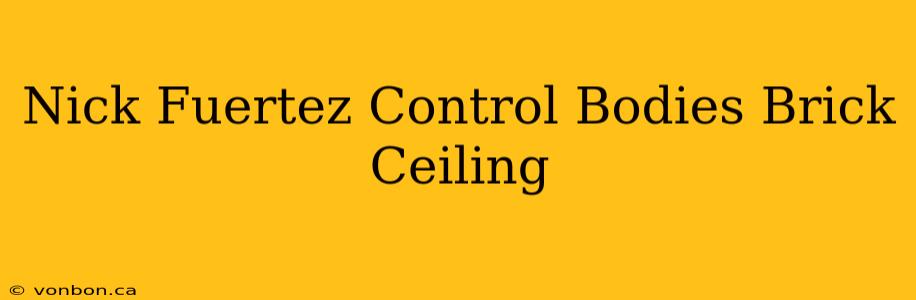 Nick Fuertez Control Bodies Brick Ceiling