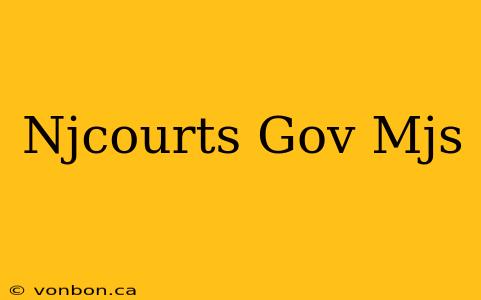 Njcourts Gov Mjs