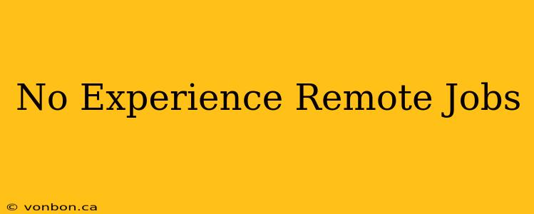 No Experience Remote Jobs