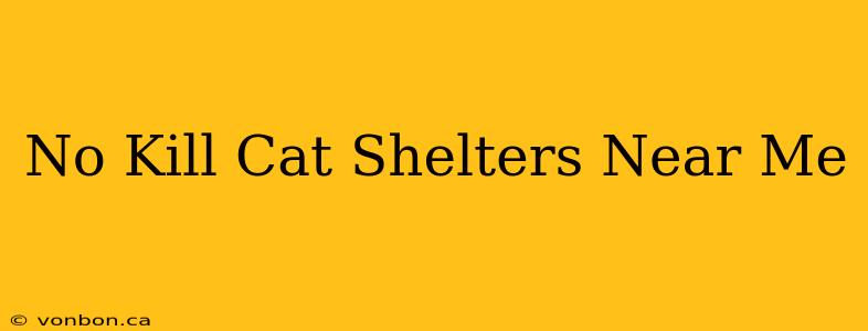 No Kill Cat Shelters Near Me