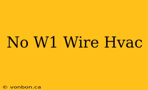 No W1 Wire Hvac