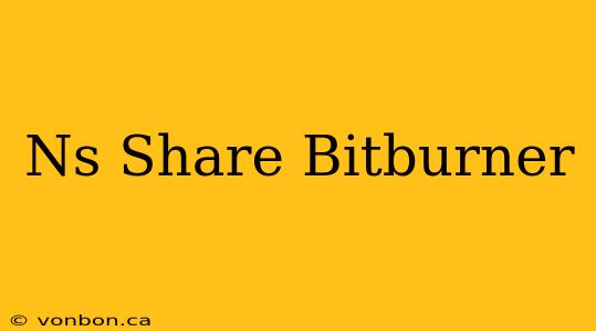 Ns Share Bitburner