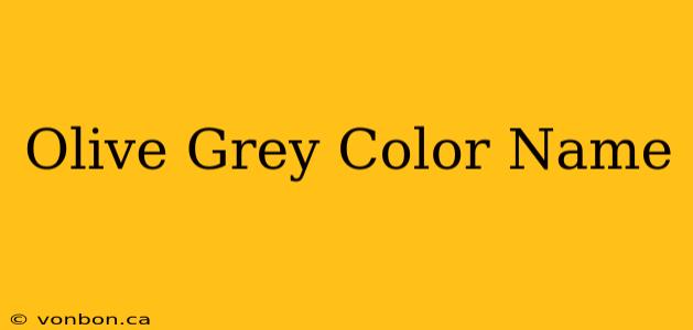 Olive Grey Color Name