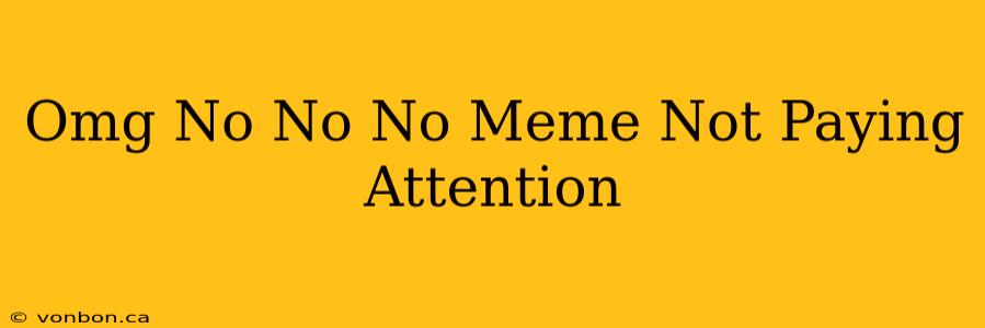 Omg No No No Meme Not Paying Attention