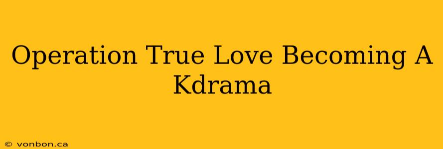 Operation True Love Becoming A Kdrama