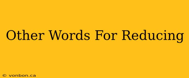 Other Words For Reducing