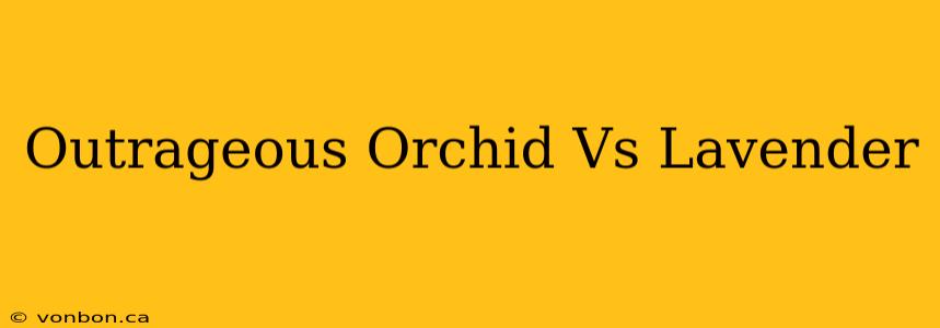 Outrageous Orchid Vs Lavender